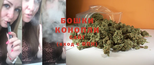 эйфоретик Дмитров