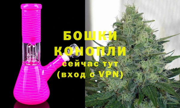 тгк Щёлкино