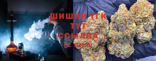 эйфоретик Дмитров