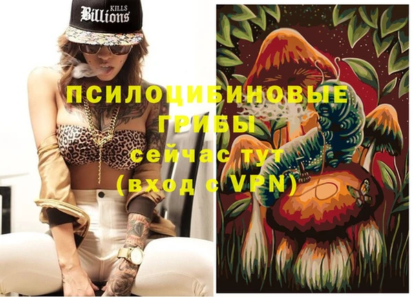 эйфоретик Дмитров
