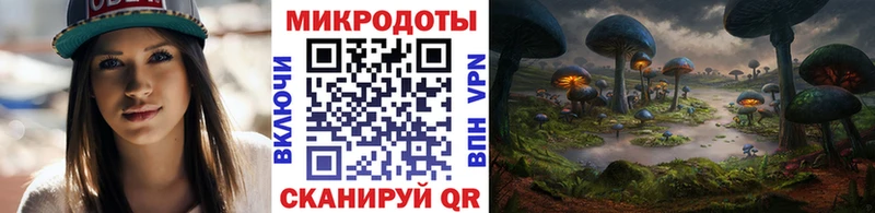 где купить наркотик  Новая Ладога  Галлюциногенные грибы прущие грибы 