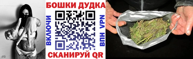 Бошки марихуана Amnesia  купить закладку  Новая Ладога 